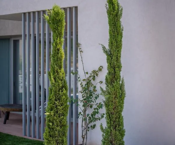 Sunblue Boutique Willa