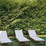 Sunblue Boutique Villa Skala Rachoni (Thasos)